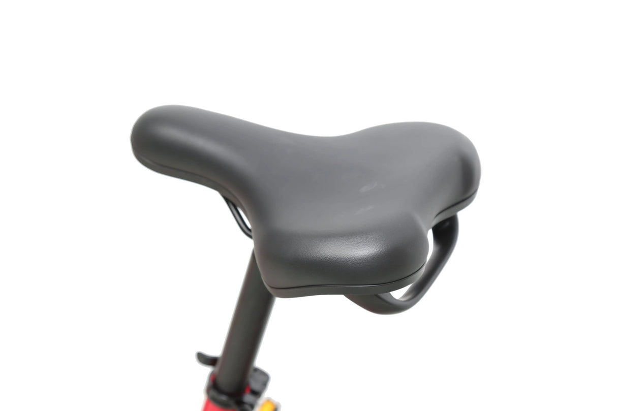 eJOEbike ACE Utility Cruiser eBike