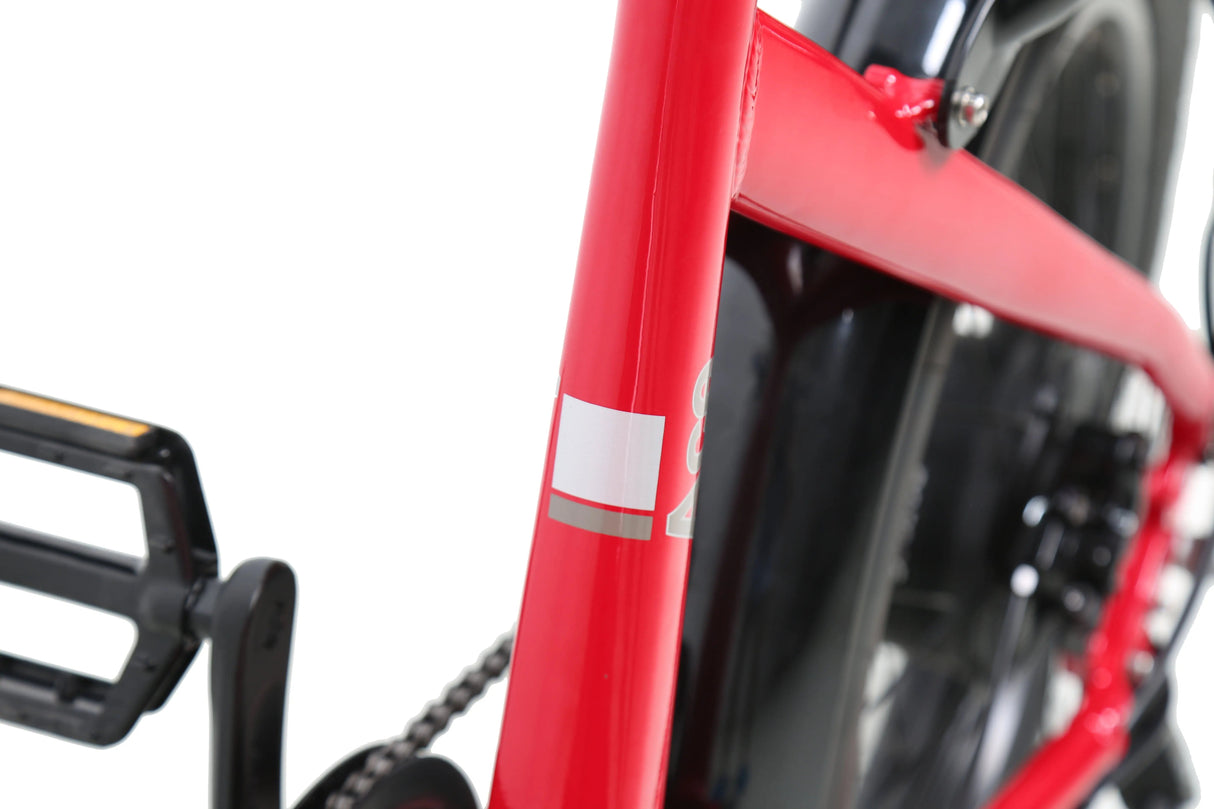 eJOEbike ACE Utility Cruiser eBike