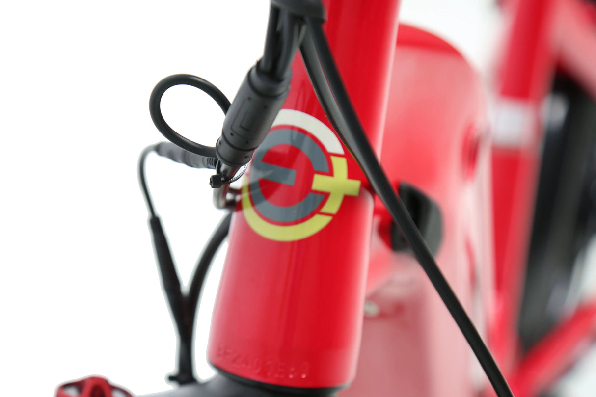 eJOEbike ACE Utility Cruiser eBike