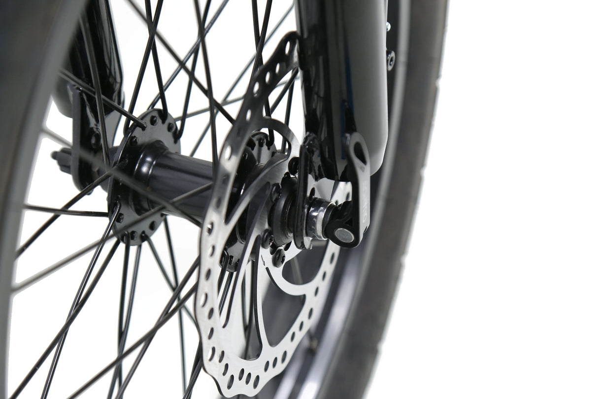 eJOEbike ACE Utility Cruiser eBike