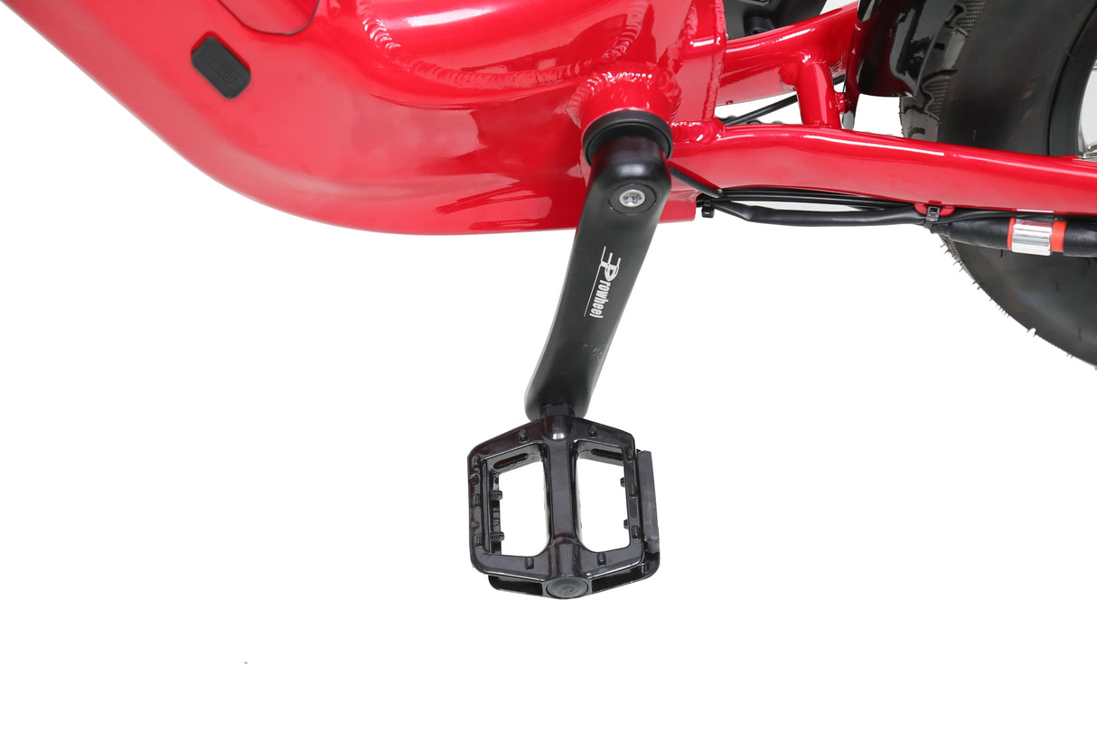 eJOEbike ACE Utility Cruiser eBike