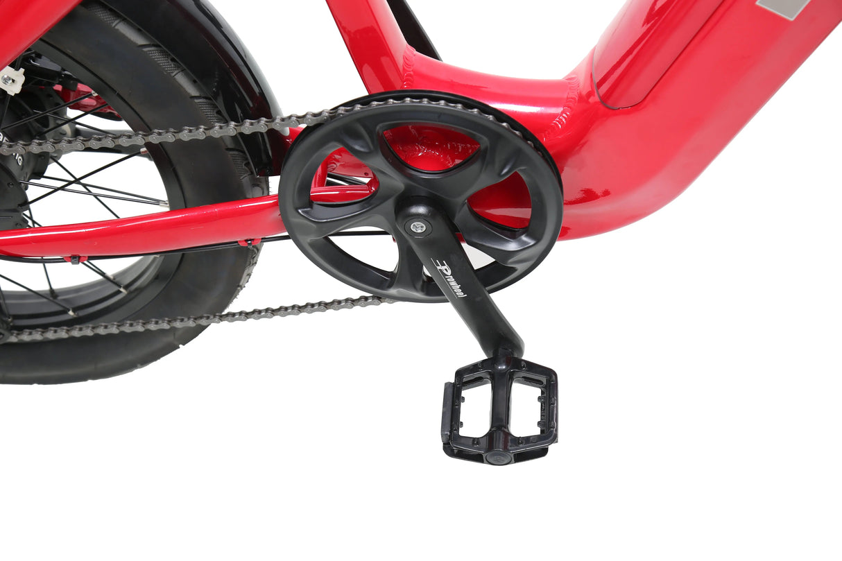 eJOEbike ACE Utility Cruiser eBike