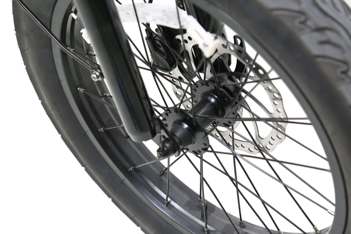 eJOEbike ACE Utility Cruiser eBike