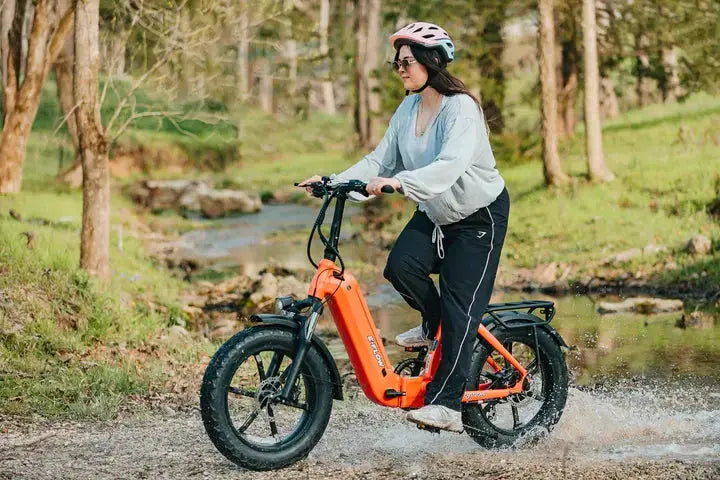 eJOEbike YOUNG Electric E-Flow 750W Folding eBike