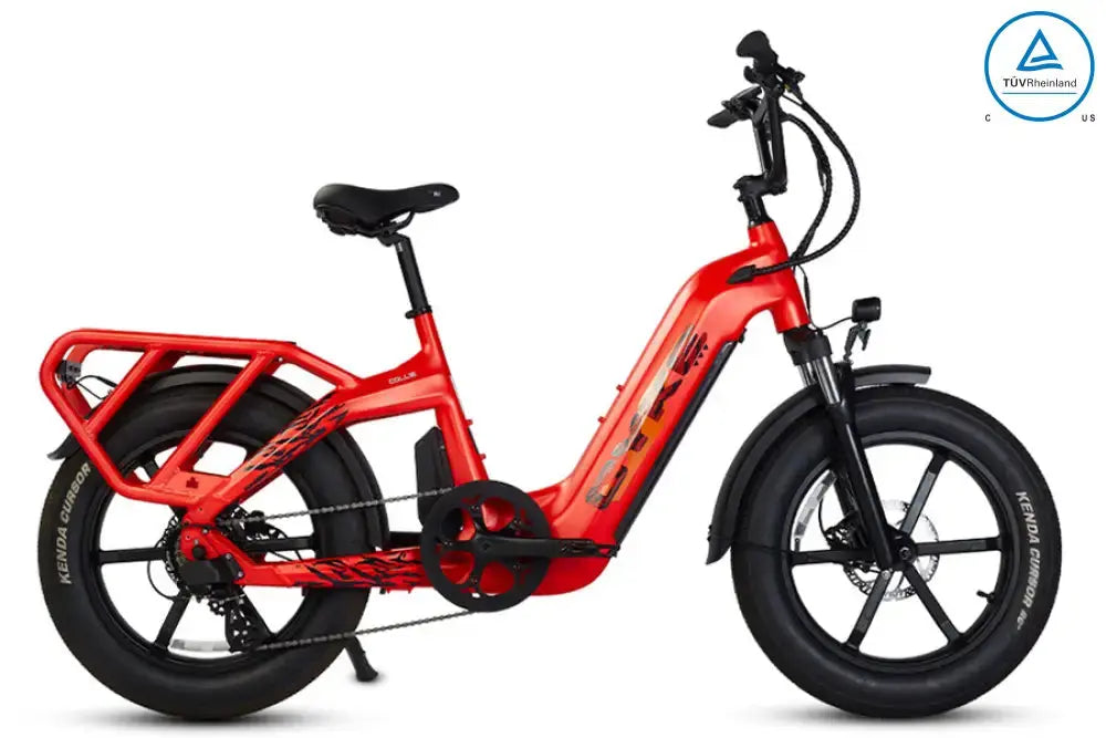 eJOEbike COLLIE Cargo eBike