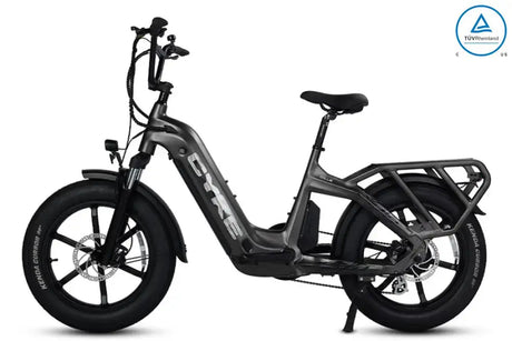 eJOEbike COLLIE Cargo eBike