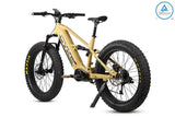 eJOEbike Falcon X Full Suspension eBike