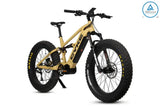 eJOEbike Falcon X Full Suspension eBike